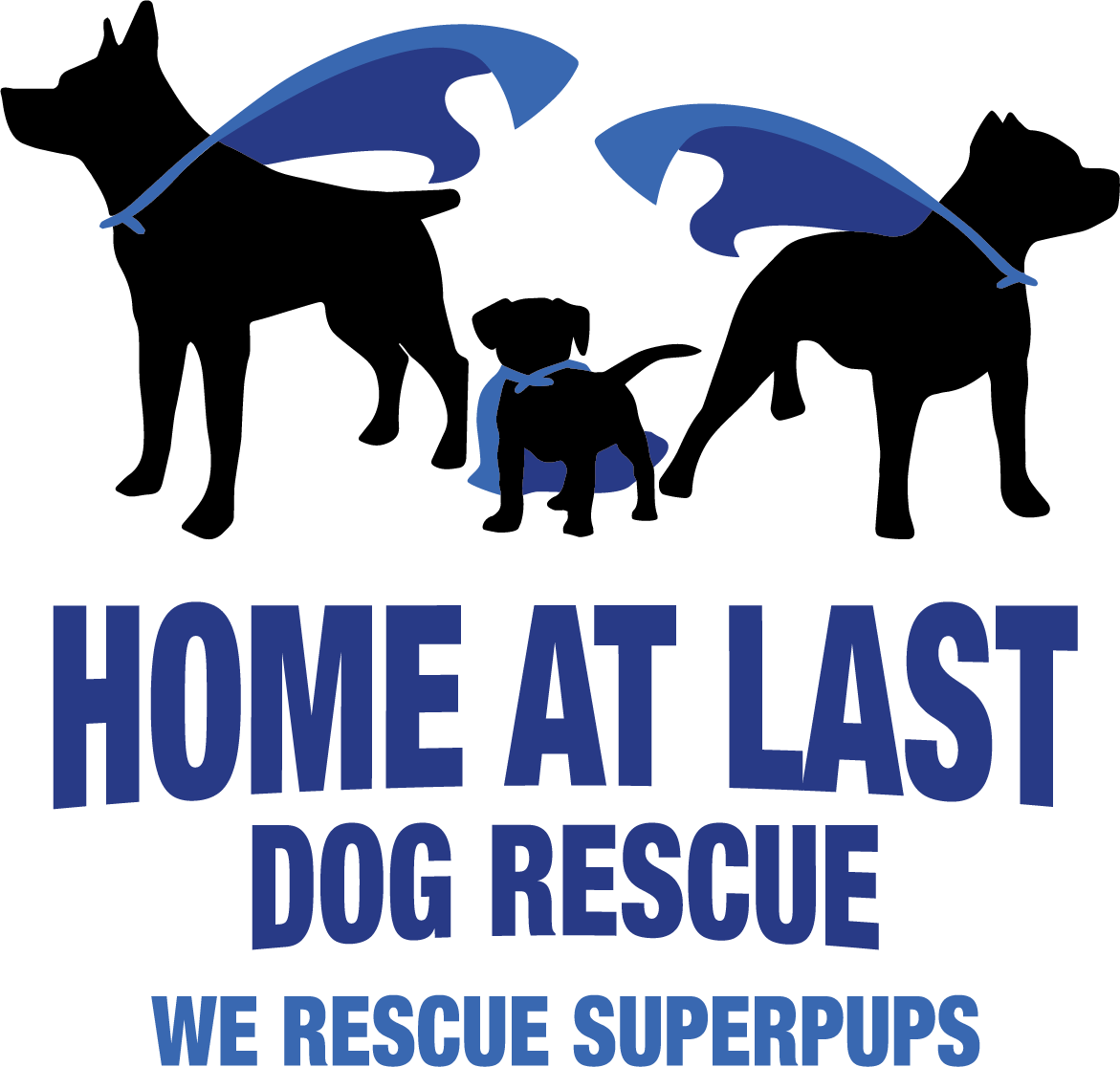 Home At Last Dog Rescue We Rescue Superpups